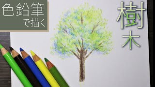 色鉛筆で風景を描く Color Pencil 無印良品の60色の色鉛筆