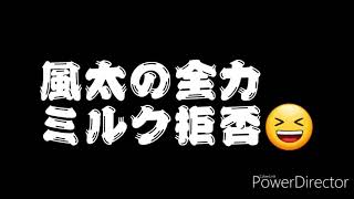 虐待動画　　では　　有りません😆