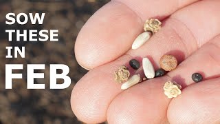 Grow These 15 Seeds in February