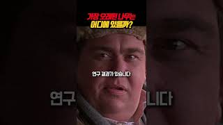 나무랄 수 없이 오래산 나무와 한반도 반만년 역사는 동년배? #rtmz8