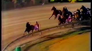 1981 Inter Dominion Pacing Grand Final