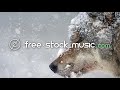 Cold Journey by Alexander Nakarada [ Cinematic / Fantasy / Celtic ] | free-stock-music.com