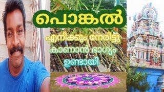 pongal tamilnadu/ pongal malayalam/ പൊങ്കൽ തമിഴ്നാട് മലയാളം