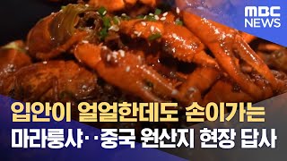 입안이 얼얼한데도 손이가는 마라룽샤‥중국 원산지 현장 답사 (2022.07.26/뉴스데스크/MBC)