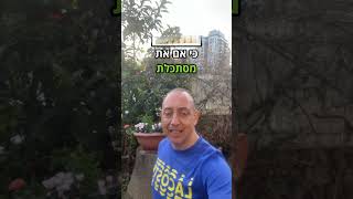 האם לחכות שמחירי הנדל״ן ירדו?