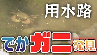 【サクマカさんぽ#12】はいじぃとワクワク水路発見／佐久間一行