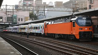 【萌旅號！】6703B次 E503+三麗鷗彩繪 樹林開車