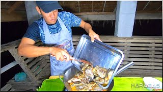 EP533-Part 3 - Jackpot Na Naman sa Pangangapa ng Isda | Occ. Mindoro