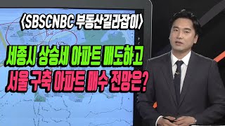 세종시 상승세 아파트 매도하고 서울 구축 아파트 매수 전망은?(부동산투자/부동산전문가)