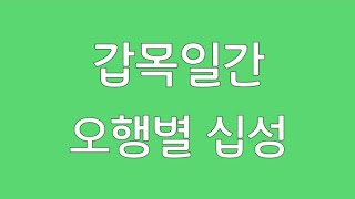 #갑목일간 #오행별 십성해석