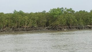 নদীর দু’পাড়ের সৌন্দর্য | Beautiful River