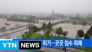 [YTN 실시간뉴스] 충북 보강천 범람 위기...곳곳 침수 피해 / YTN