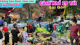 Cảnh khổ 29 tết Sài Gòn cẩu toàn bộ hoa tết về không bán được chậu nào