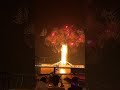 tree fireworks liuyang weekend fireworks show 2024