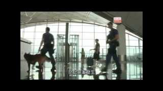 警訊 2013-06-08 (第一部份）