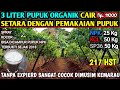 🔴 pupuk organik cair pengganti NPK dengan unsur HARA MAKRO & MIKRO yang lengkap #cabetanpamulsa