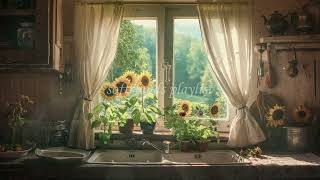 in a dreamy corner (a playlist for chill times)