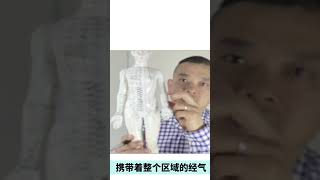 针灸技法大观：揭秘倒马针! 走进针灸的深厚内涵，我们不难发现其中丰富多元的处理技法。 在许多有效的针灸技法中，倒马针常常引人注目。 倒马针，是一种独特的针灸手法。它特别的之处在于一针能够在原本已有