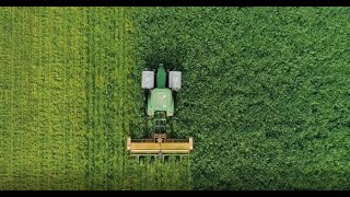 Cover Crops Are A Key Tool in Regenerative Organic Farming