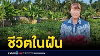 ครูปลูกผักแจก ขาย สร้างรายได้งาม l ตลาดข่าว - ข่าวเช้าเวิร์คพอยท์ l 11 ธ.ค.67