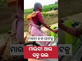 ଓ ମାଉସୀ କ ଣ ହାଟକୁ ଓଡ଼ିଆ କମେଡି odia comedy comedy trending mausi hata shorts uttamknblogs