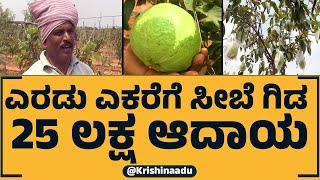 4 ಎಕರೆಯಲ್ಲಿ ಸೀಬೆ ಕೃಷಿ  ವರ್ಷಕ್ಕೆ 25 ಲಕ್ಷ ಆದಾಯ - Guava Cultivation: A Complete Guide for Beginners