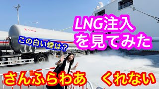 【さんふらわあくれない】 日本初のLNG燃料フェリーさんふらわあくれない　LNGタンクローリーからフェリーへの燃料充填作業を見ることができるのは別府港だけ！　迫力満点のLNG燃料充填作業を見てきたヨ🚢