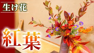 【秋の生け花】紅葉を使って生けてみた