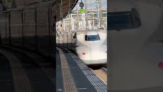 【東海道新幹線•車掌さんの安全確認】《JR東海》