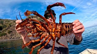 Diving Catalina Island for Lobster at Night! (Catch and Cook Spiny Lobster)