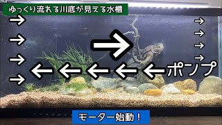 【日淡水槽】ゆっくり流れる川底が見える水槽立ち上げ