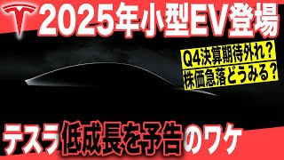 【テスラ株】次世代コンパクトEV「レッドウッド」2025年生産発表も、2024年低成長予告で株価急落〜2023年第四四半期決算を速報解説