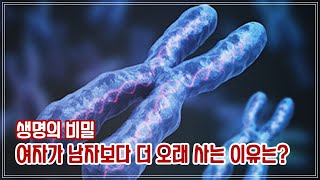 생명의 비밀, 여자가 남자보다 더 오래 사는 이유는?_텔로미어/에스트로겐과 수명/월경과 수명/내시의 수명