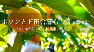 【ポツンと農業】まだまだ農業の事を知られていない時代。｜お腹をくださない食物繊維の取り方｜奈良産