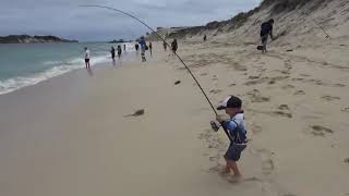 Une petit de 3 ans pêche une grosse bonite