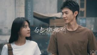 【FMV】CÂY OLIU MÀU TRẮNG | The White Olive Tree - Chen Zhe Yuan \u0026 Liang Jie ( 白色橄榄树 - 陈哲远 \u0026 梁洁)