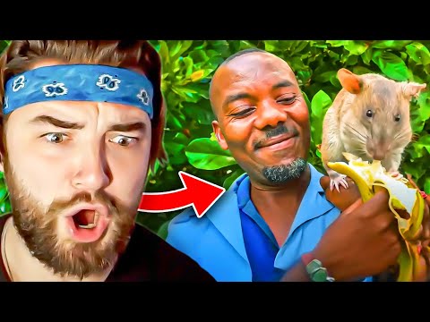 MEET THE BIGGEST RAT IN THE WORLD!! KingWoolz vs DAILY DOSE OF INTERNET