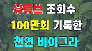 유튜브 조회수 100만회를 기록한 천연식물 비아그라 #박주가리