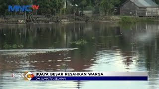 Warga Dihebohkan Kemunculan Buaya di Sungai, OKI #LintasiNewsPagi 21/02