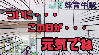 #467【80代のばあちゃん】み～ちゃんが・・・