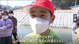 「帰ってきてくれるといいな」サケの稚魚を小学生が放流　宮城・南三陸町