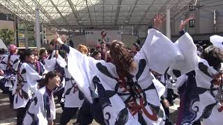 20181020長崎大学突風inYOSAKOIさせぼ祭り　島瀬会場②