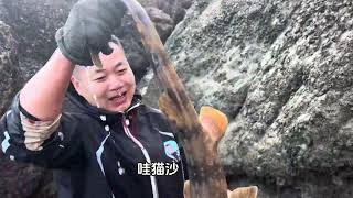 一年没抽的海峡沟鱼情太好了，石头底下拎出来都是上等黑毛鱼