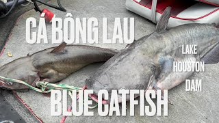 110🎣Blue Catfish, Lake Houston Dam; Cá Bông Lâu, ở Hoa Kỳ