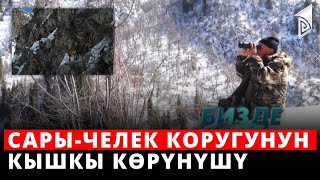 Сары-Челек коругунун кышкы көрүнүшү