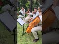 Cidadão dos Céus - Hino CCB 454 | Orquestra Realeza Musical | Músicos para Casamento