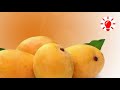 আমের রাজা আলফানসো । কেন কখন কিভাবে ‌। alphonse king mango । kenokokhonkivabe