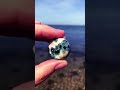 Inner-Peace Ocean Jasper