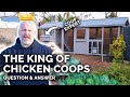 Chicken Coop Expert Answers 27+ Common Chicken Questions