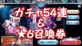 【ナイクロ】単発＆10連ガチャ５４連と★６召喚券！